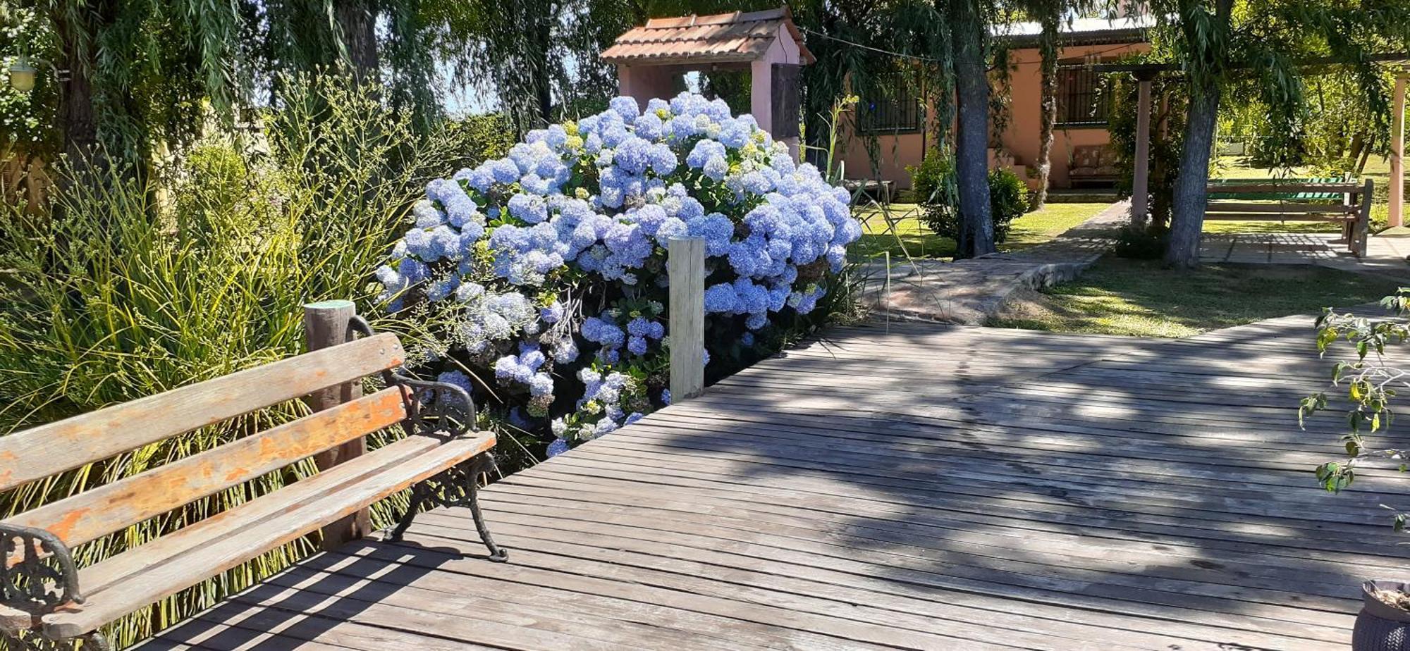 Guitarra Negra Villa Tigre Exterior photo